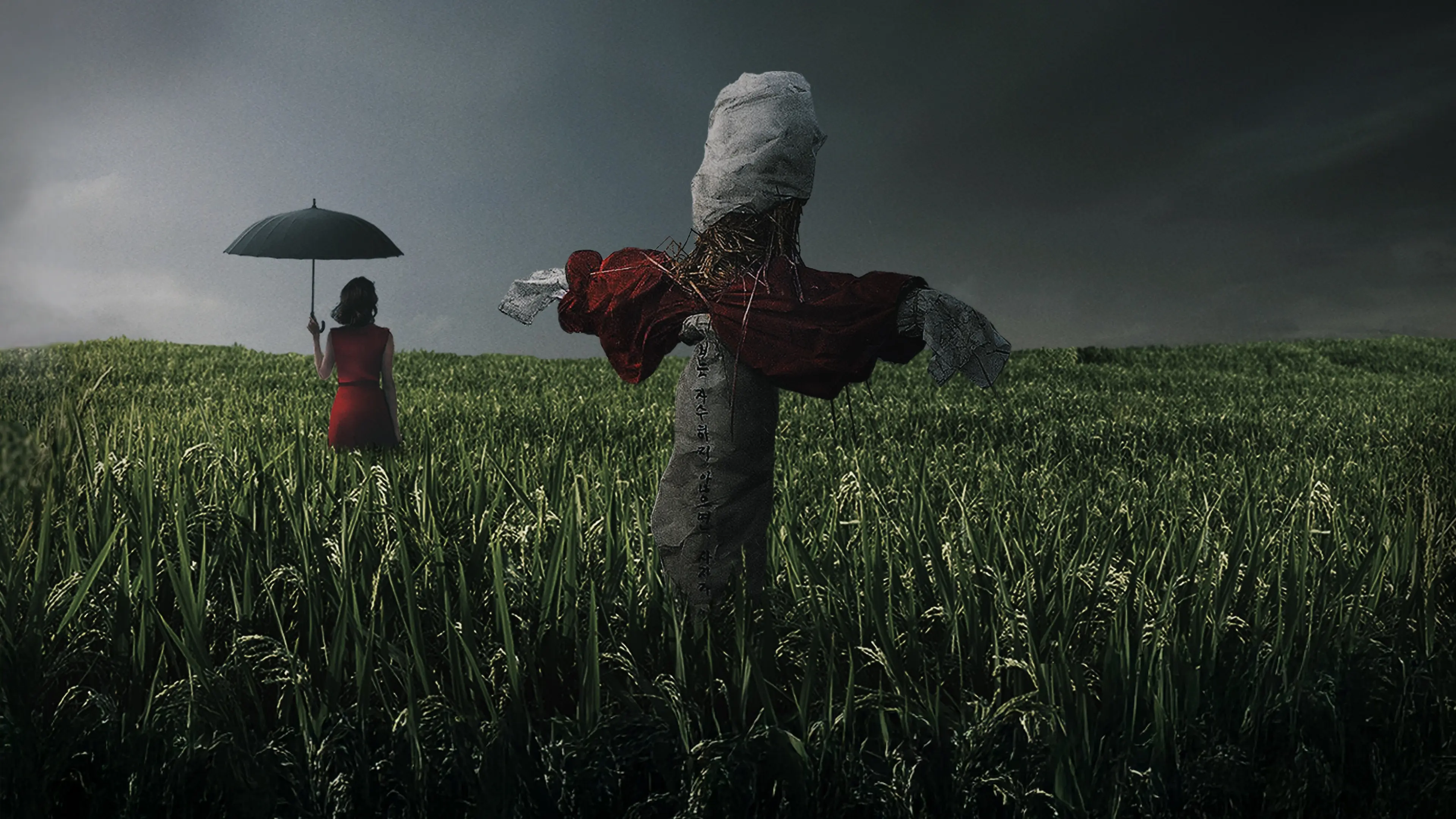 Memories of Murder backdrop